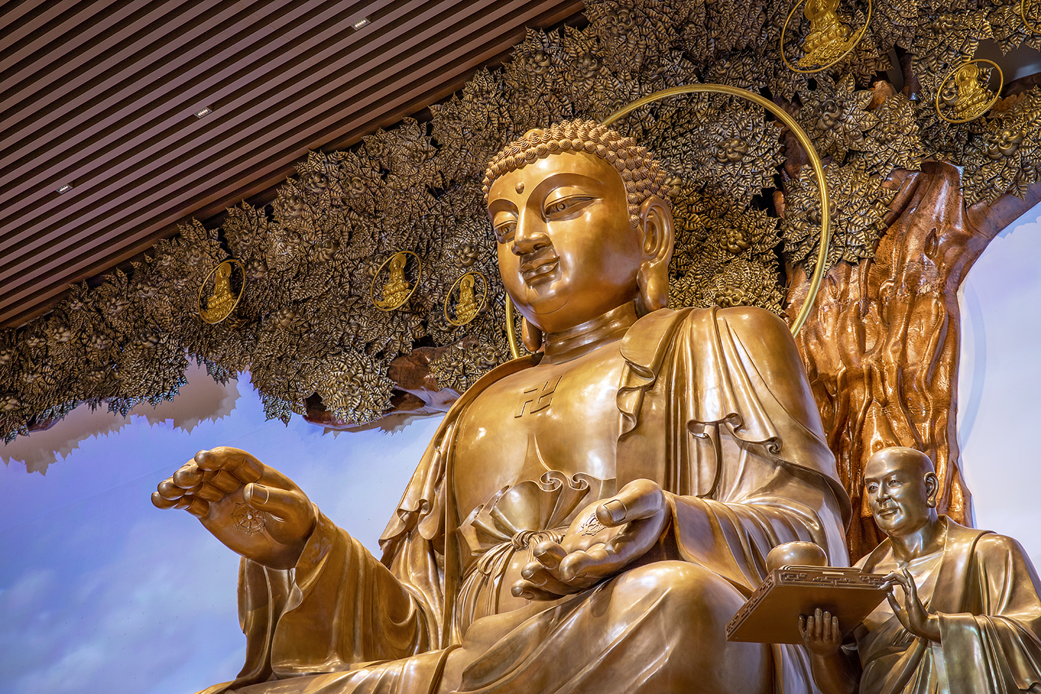 尊凯实业·(中国区)集团公司官网