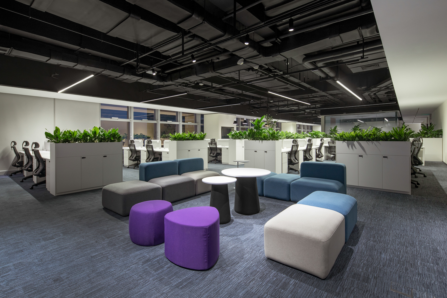 尊凯实业·(中国区)集团公司官网