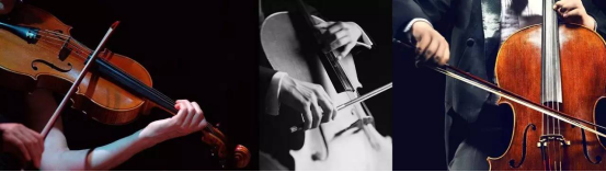 尊凯实业·(中国区)集团公司官网