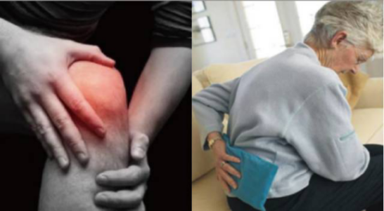 尊凯实业·(中国区)集团公司官网