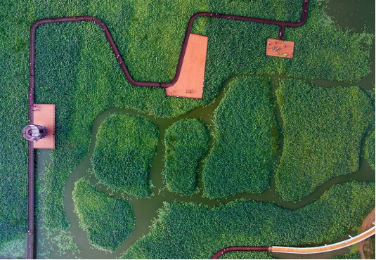 尊凯实业·(中国区)集团公司官网