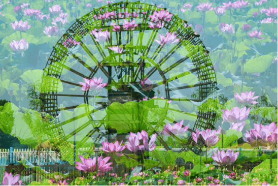 尊凯实业·(中国区)集团公司官网