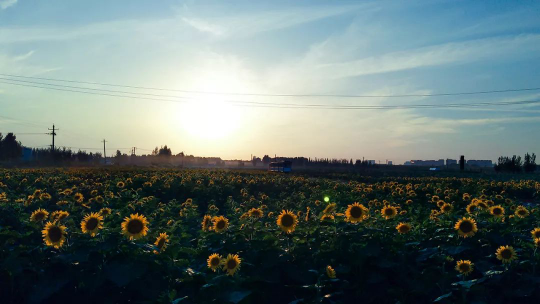 尊凯实业·(中国区)集团公司官网