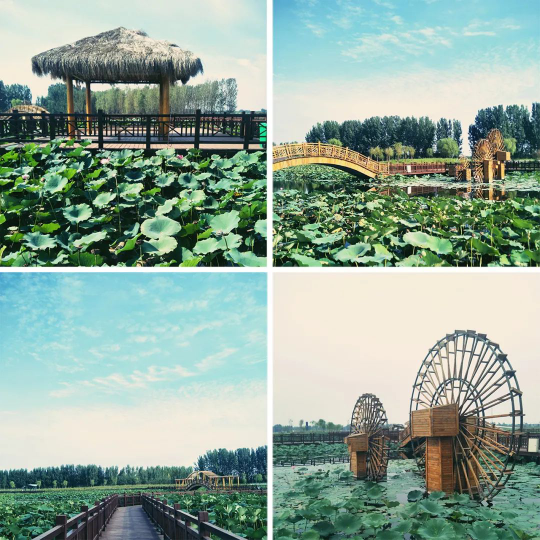 尊凯实业·(中国区)集团公司官网