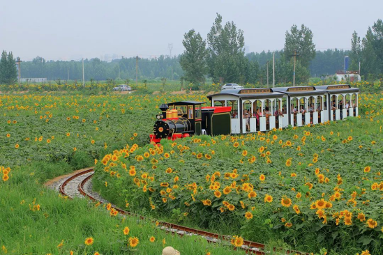 尊凯实业·(中国区)集团公司官网