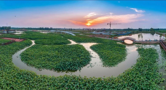 尊凯实业·(中国区)集团公司官网