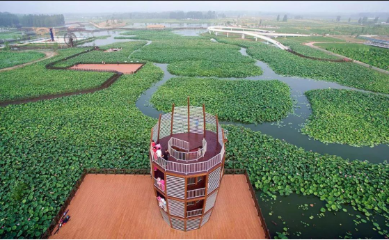 尊凯实业·(中国区)集团公司官网