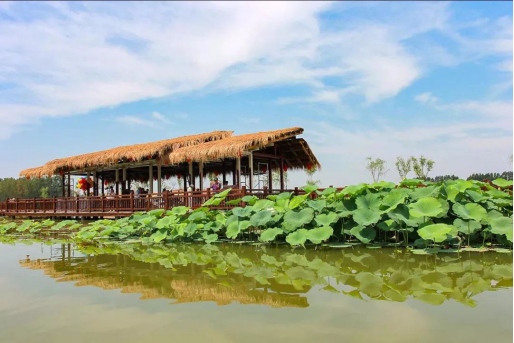 尊凯实业·(中国区)集团公司官网