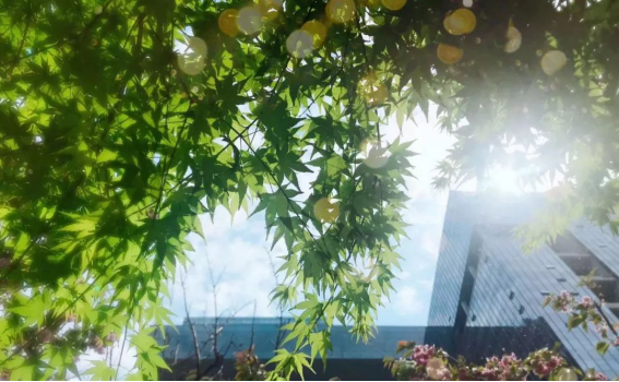 尊凯实业·(中国区)集团公司官网